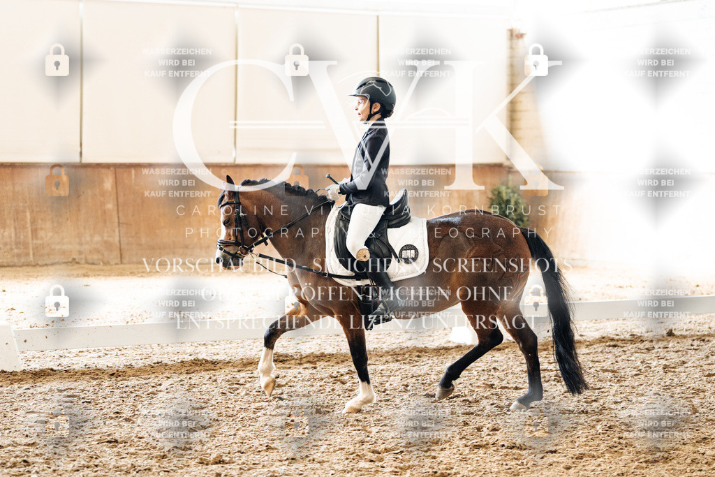 CK900564 | Turnierfotografie Pferdefotografie Trier Rheinland-Pfalz Pferdesport Reitsport Tierfotografie Sportfotografie Pferdevideo Pferdevideografie Equestrianvideography equestrianphotography  - Realized with Pictrs.com