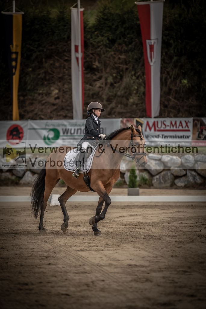 DSC_8394 | equestrian-live-com