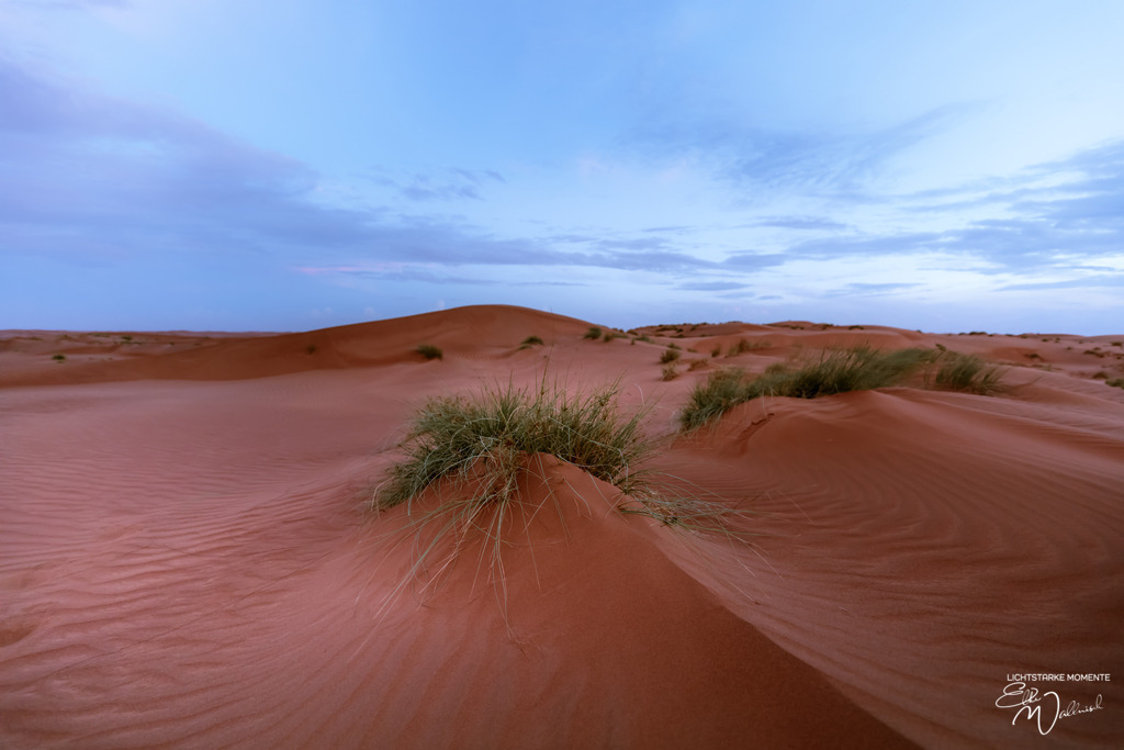 Al Salam Desert Camp, Al Qabil, Bidiyya, Oman | Herzlich willkommen auf meiner Seite! Ich bin Elke Wallnisch, Deine Fotografin für lichtstarke Momente. Der Name steht für alles, was mich mit der Fotografie verbindet: Das Licht und seine machtvolle Wirkung auf eine Situation oder unsere Stimmung - Realisiert mit Pictrs.com