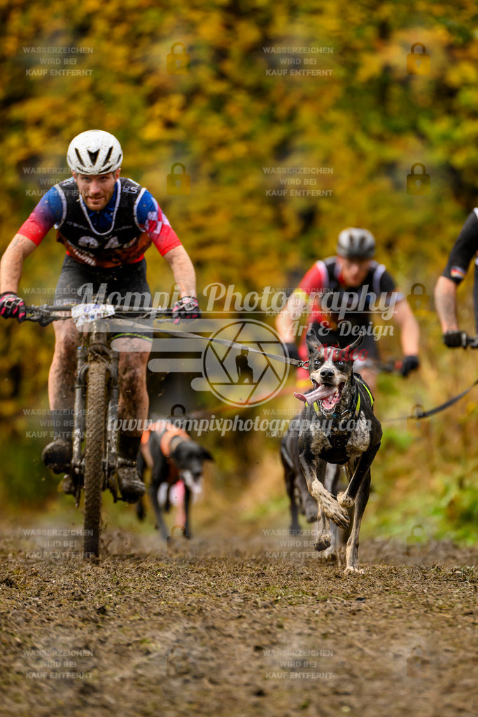 MompixPhotography_ICF_WC_2024_SA_Bike_-31 | PayLife