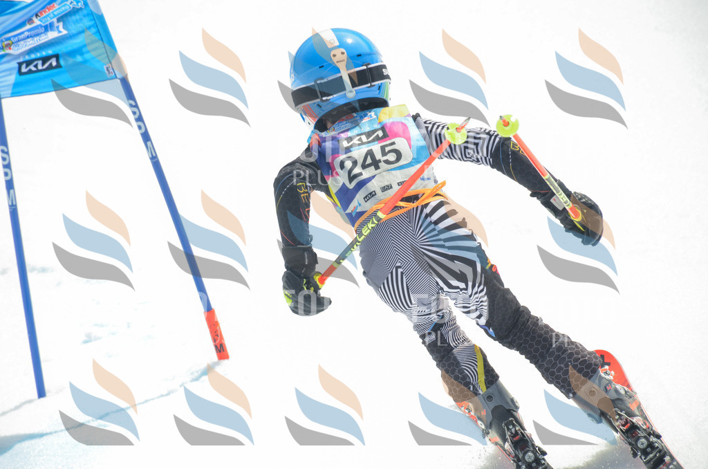 _ELE7483 | holidayphoto