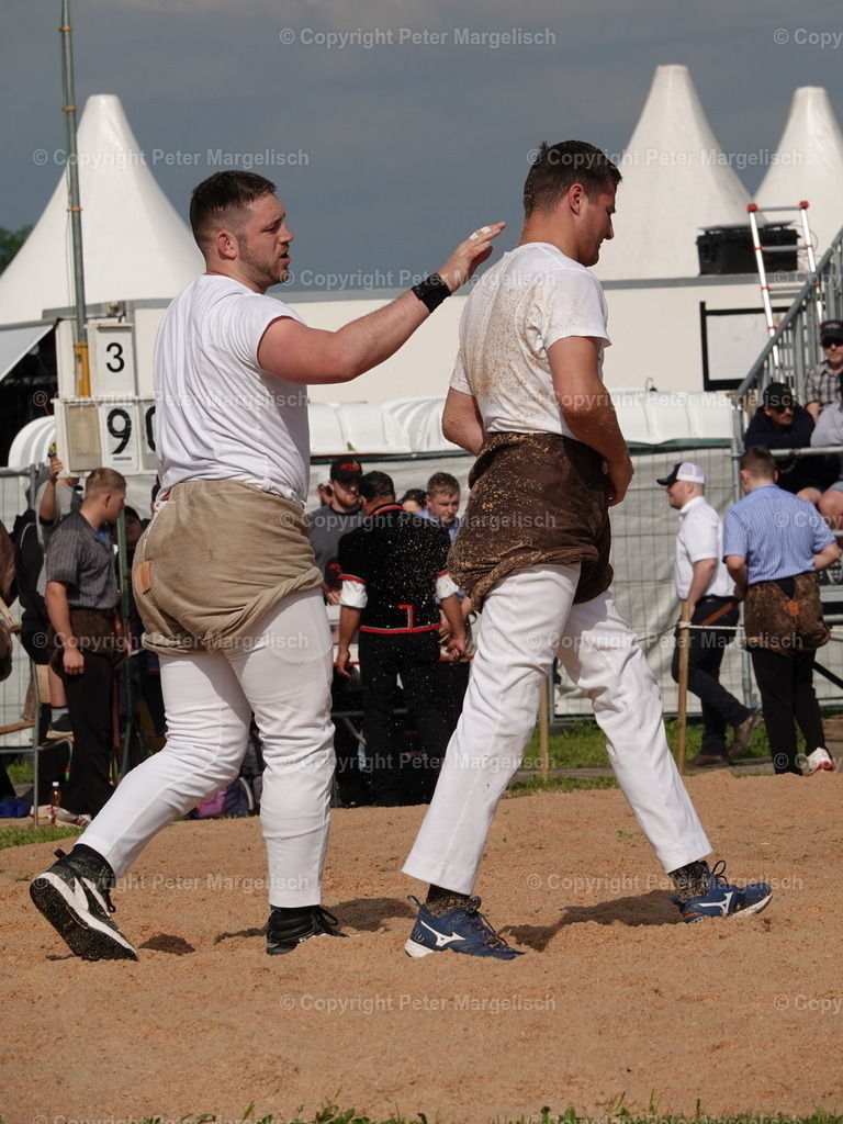 DSC06690 | Schwingen - Realisiert mit Pictrs.com