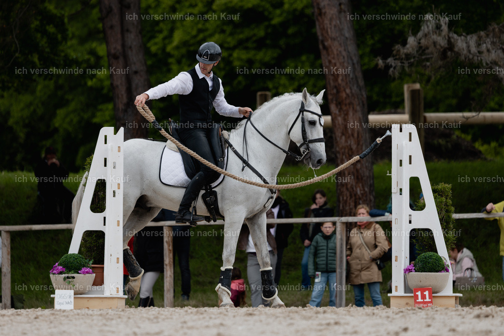 PI26_SP_StoibphotographyC2_C0581.jpg | working equitationturnier fotograf videograf stoibphotography marixx film working equitation deutschland reitsport turnierfotografie eventfotografie equestrian events