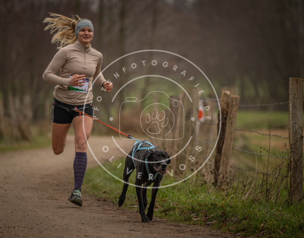 Pfotenfotografie_DV3A2730 | Hundefotografie, Tierfotograf, Pfotenfotografie, Fotoshooting Hund, Hunde Portrait, Hundesport, Hundeportraits, Heideshooting, Hunde, Sportfotograf, Hundefotograf, Turnierhundsport, THS,  - Realisiert mit Pictrs.com