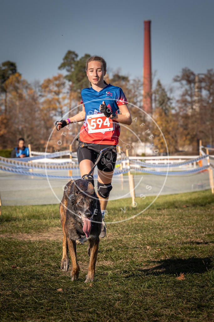 CaniXpix_0L8A8447 | Hundefotografie, Tierfotograf, Pfotenfotografie, Fotoshooting Hund, Hunde Portrait, Hundesport, Hundeportraits, Heideshooting, Hunde, Sportfotograf, Hundefotograf, Turnierhundsport, THS,  - Realisiert mit Pictrs.com
