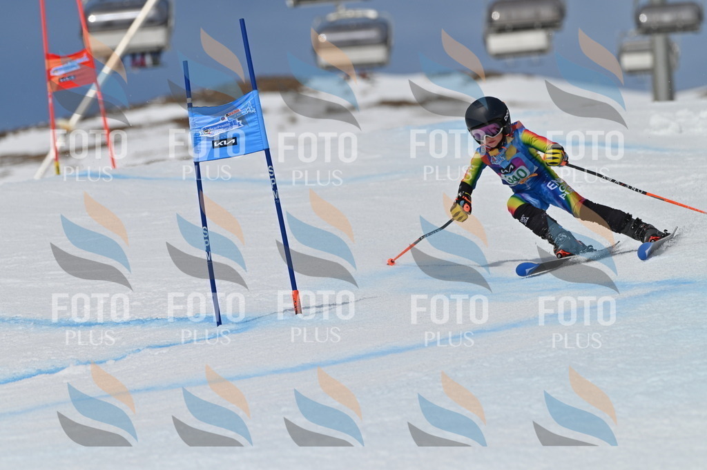 BGV_6752 | holidayphoto