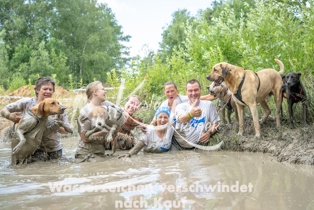 0917_ZZ92036 | kk-dogfotos