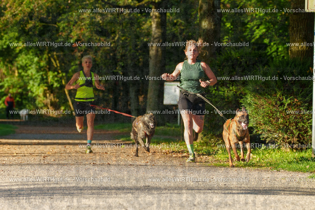 THS_Turnier_27-09-2026-allesWIRTHgut_Tierfotografie-7R505227 | Professionelle Tierfotografie in Mönchengladbach von Daniel Wirth (allesWIRTHgut). Liebevolle & natürliche Bilder von Hunden & Katzen für unvergessliche Erinnerungen.