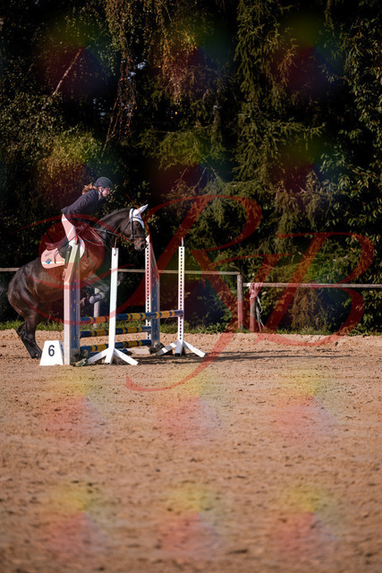 2026_10_03_Siefer-Hof_153615_Z81_48856962 | Professionelle Reitsport-, Turnier- und Eventfotografie von Robert Broda. Galerien mit ausgewählten und bearbeiteten Bildern direkt online ansehen und bestellen.
