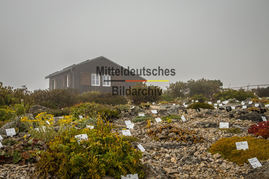 innerdeutsche Grenze Grünes Band Brocken Ilsenburg Eckerntal-9865 | Die innerdeutsche deutsch-deutsche Grenze, das Grüne Band - Realisiert mit Pictrs.com