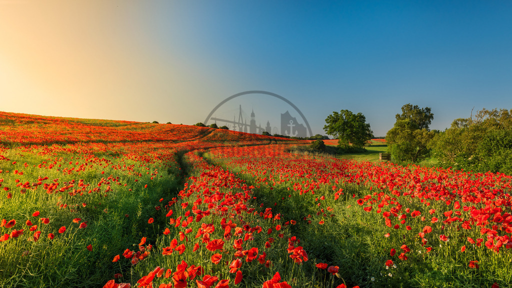 stativkunst-575 | Exklusive Hamburg collagen, tolle Segelbilder und viele weitere tolle Motive auf Leinwand, Poster, Alu-Dibond, u.v.m. findet Ihr bei uns auf hamburgbild.de. Findet Euer Wandbild für Euer Zuhause, Büro oder die  Praxis…. - Realisiert mit Pictrs.com