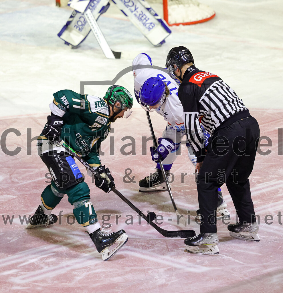 2025-09-26_099_TSV_Erding_gegen_SC_Riessersee | Erding, Deutschland, 26.09.2025:Eishockey, Oberliga Süd 2025 / 2026, 3. Spieltag, TSV Erding gegen SC Riessersee, Endergebnis: 3:5Philipp Michl (Erding Gladiators, #77)Foto: Christian Riedel / fotografie-riedel.net