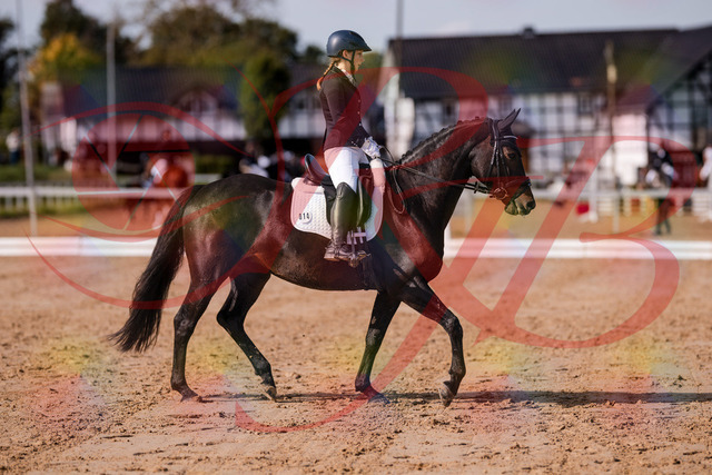 2026_10_03_Siefer-Hof_121426_Z81_16533794 | Professionelle Reitsport-, Turnier- und Eventfotografie von Robert Broda. Galerien mit ausgewählten und bearbeiteten Bildern direkt online ansehen und bestellen.