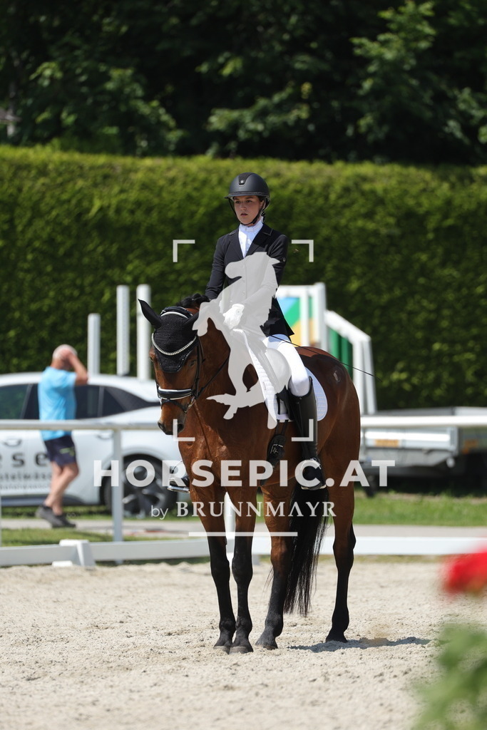 0P6A1189 | Willkommen bei Brunnmayr - Design & Fotografie – Ihrem Spezialisten für Reitturniere und Pferdeveranstaltungen in Oberösterreich, Salzburg und Bayern! Seit über 17 Jahren sind wir leidenschaftlich dabei.