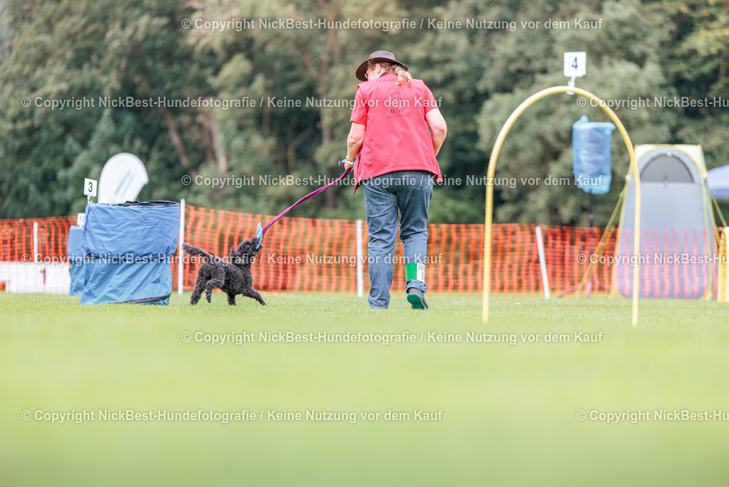 BSP Hoopers-H2-2026-Nickbest-Hundefotografie-TuS Komet Arsten e.V.-4256 | Dein Hund! Dein Moment! Deine Erinnerungen! Hundefotografie in Bremen Blumenthal. Ich fange die besonderen Momente deines Vierbeiners ein – ob Indoor mit Blitzanlage oder in der freien Natur. Sicher dir dein Moment und dein Termin für eure Erinnerungen.