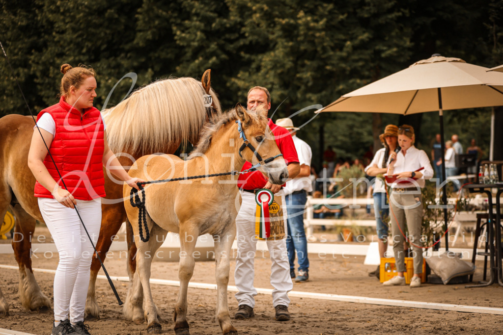 SaSF00124 | Leoni Ertmer Photography - Realisiert mit Pictrs.com