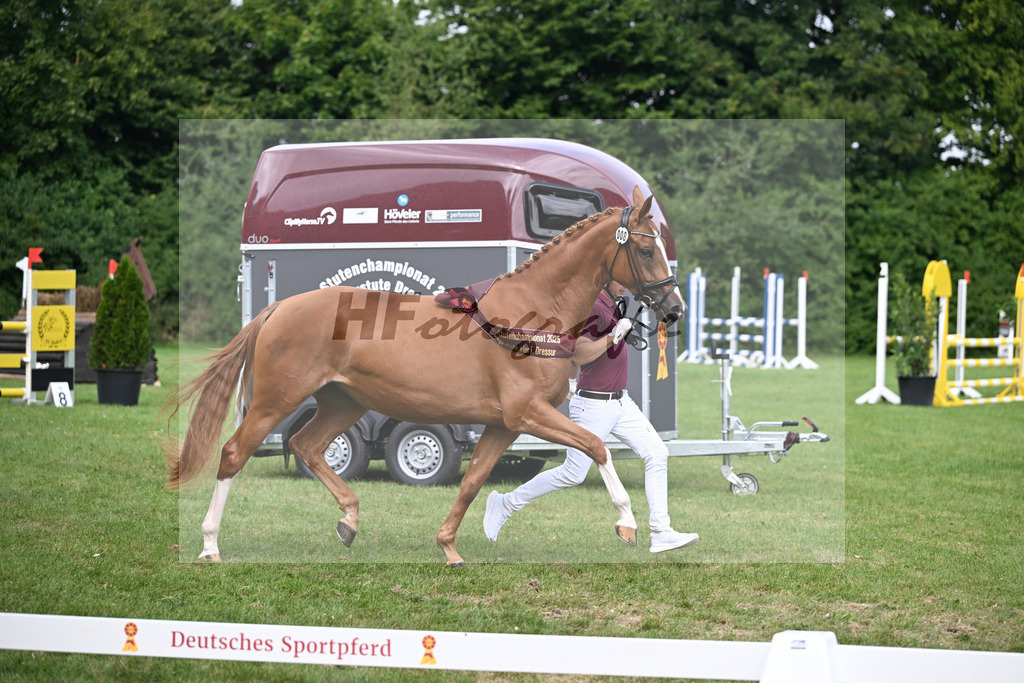Kat-Nr. 8 Aurelie v. Marc Cain_Vite_27150633 | hf-fotografie - Realizzato con Pictrs.com