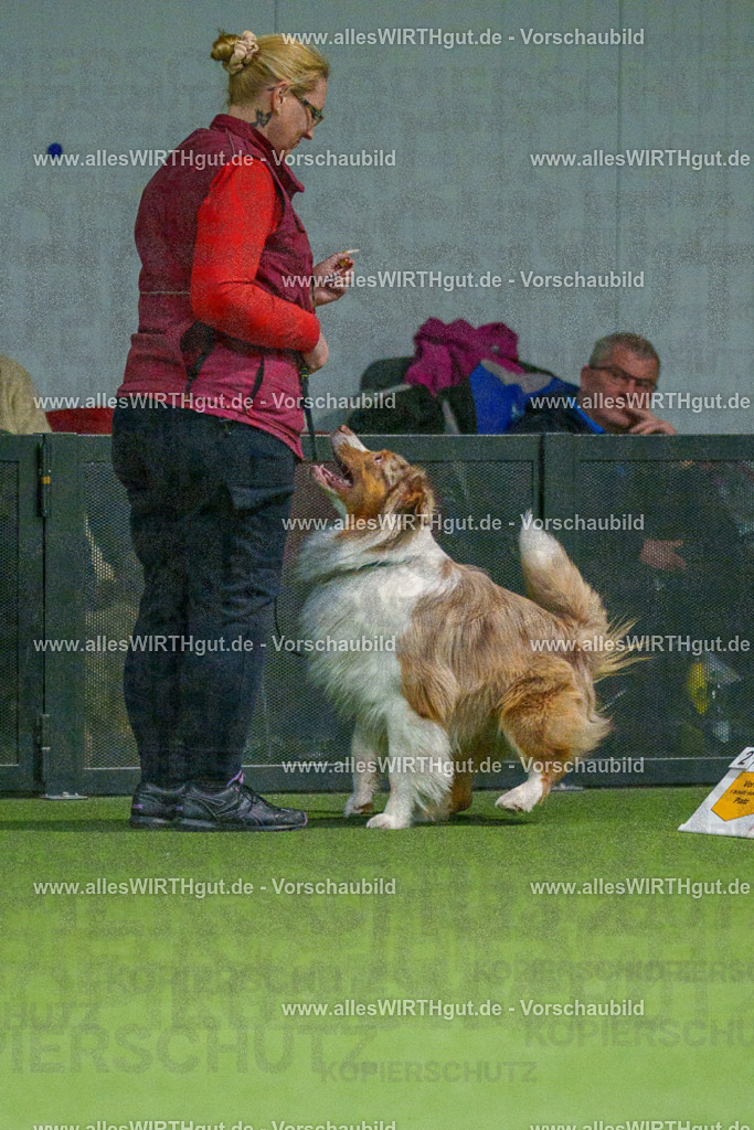 7R505254 | Professionelle Tierfotografie in Mönchengladbach von Daniel Wirth (allesWIRTHgut). Liebevolle & natürliche Bilder von Hunden & Katzen für unvergessliche Erinnerungen.