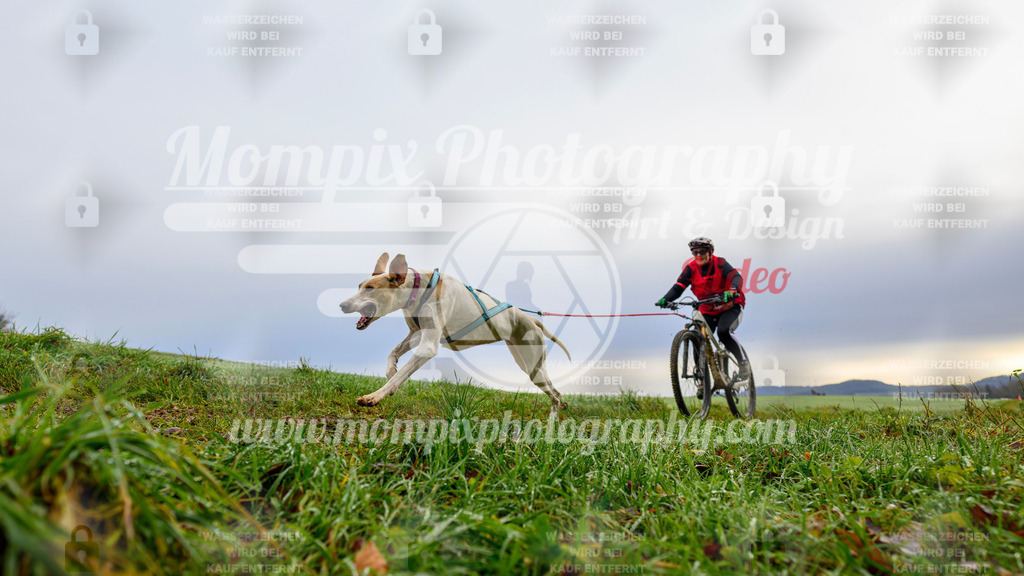 MompixPhotography_Staufertrail2024_SO_Bike-16 | PayLife