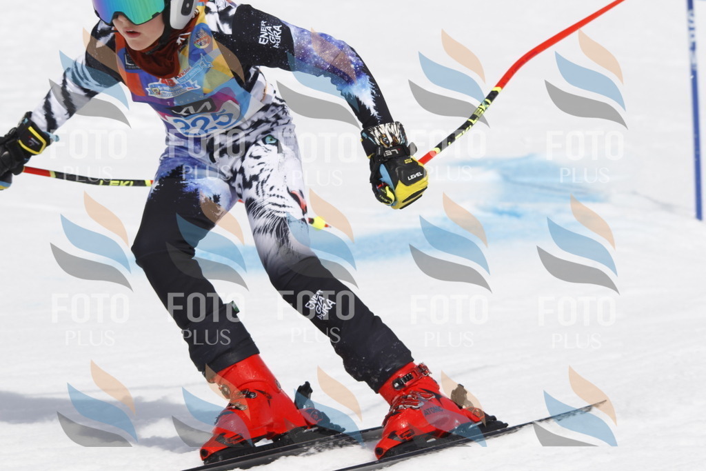 _U3G2470 | holidayphoto