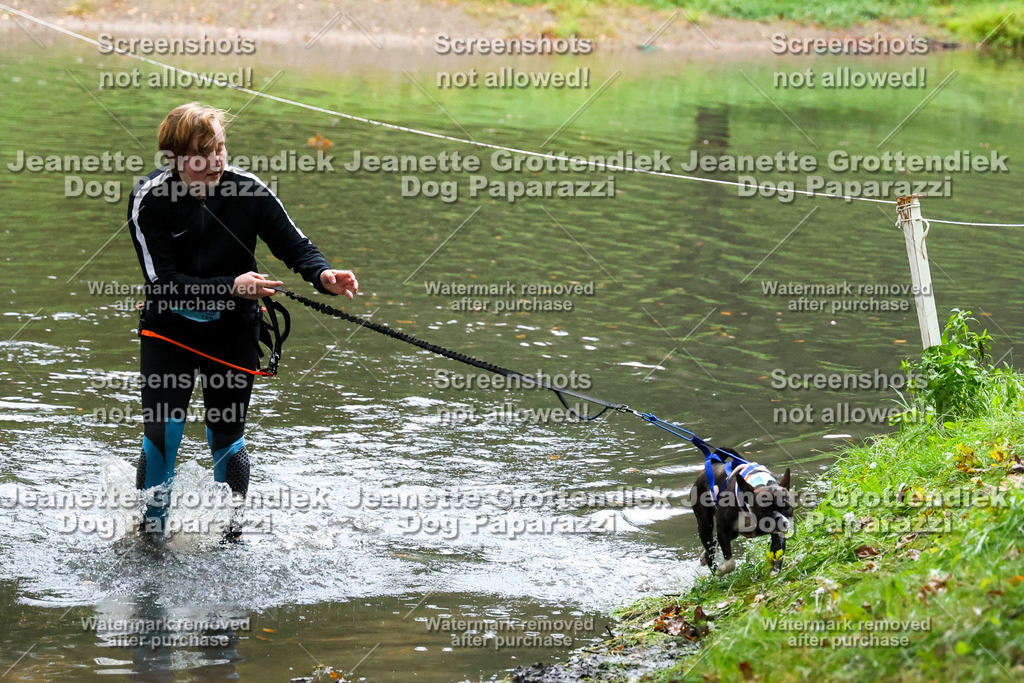 Dog Paparazzi -  SD1026-8480 | Dog Paparazzi Jeanette Grottendiek Fotografie & Videografie - Realisiert mit Pictrs.com