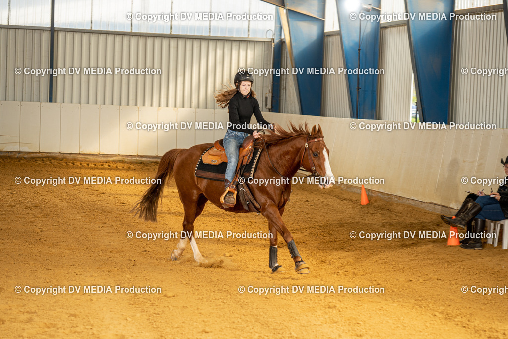 MIT00861 | dv-media-shop - Realisiert mit Pictrs.com