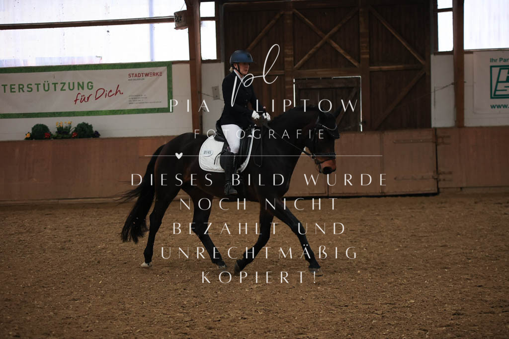 IMGT6807 | pl-fotografie