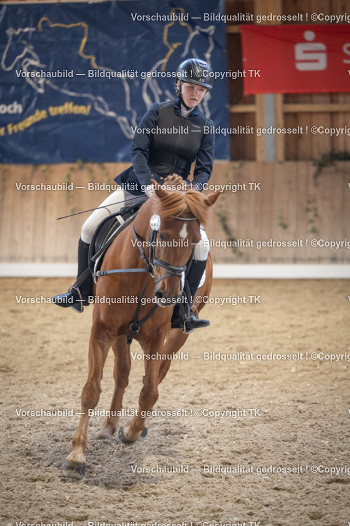 _D5A5650 | Emotionale Pferde- & People-Fotografie rund um Heidelberg, Leimen & Umgebung. Natürliche Fotos von Pferd, Mensch & Familie. Jetzt Termin sichern!