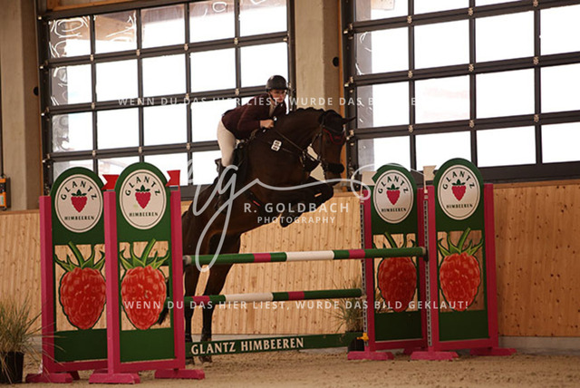 1J2A2974Leonie Ulrich_ Campino M 5_ Kn058_ Hohen Wieschendorf_ Glantz | Foto- und Videografie für alles rund ums Pferd. Hochwertige Bilder und Videos vom Spring- und Dressurreiten, Voltigieren & mehr. Jetzt aktuelle Veranstaltungen und Preise im Shop ansehen. - Realisiert mit Pictrs.com