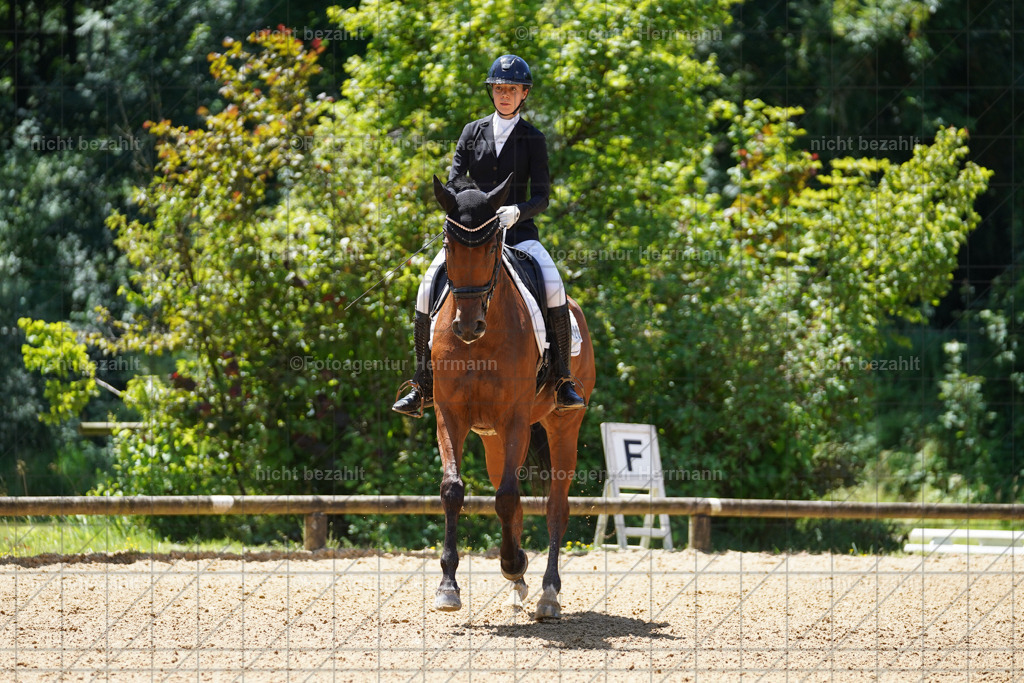 20240705-FAH03975 | Turnierbilder von Grafing, Reitsportbilder, Turnierfotos, Turnierfotografen Bayern, Pferdefotograf, Fotoagentur Herrmann