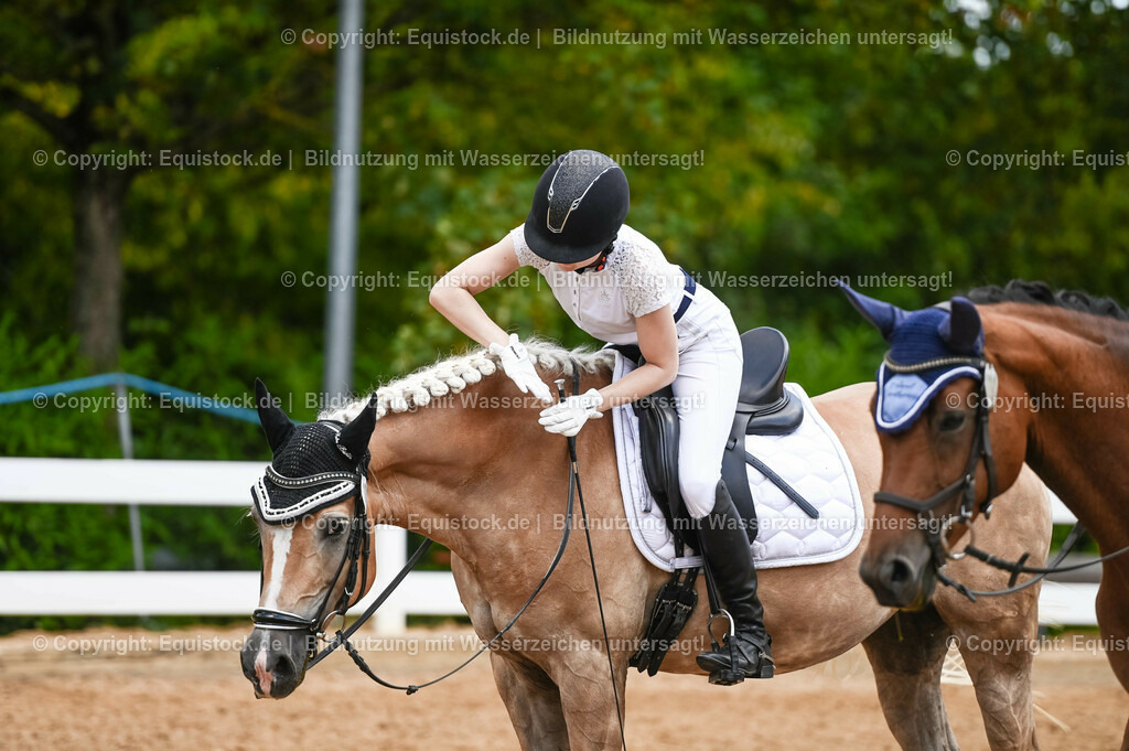 20230715_05_Dressurprüfung Kl.A++_0115 | equistock