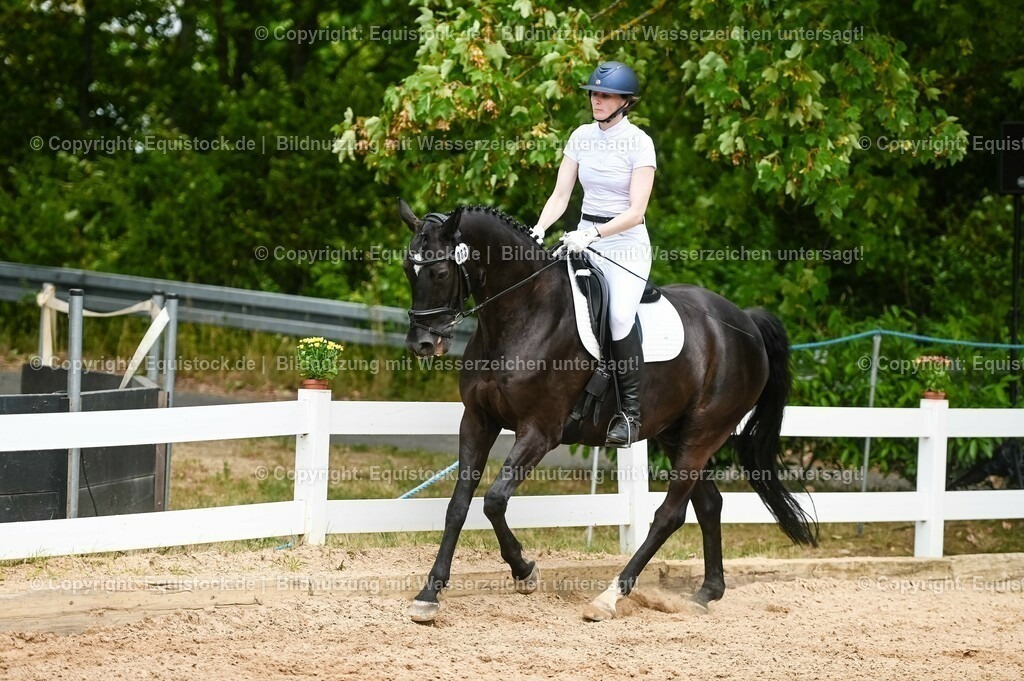 20230715_05_Dressurprüfung Kl.A++_0278 | equistock