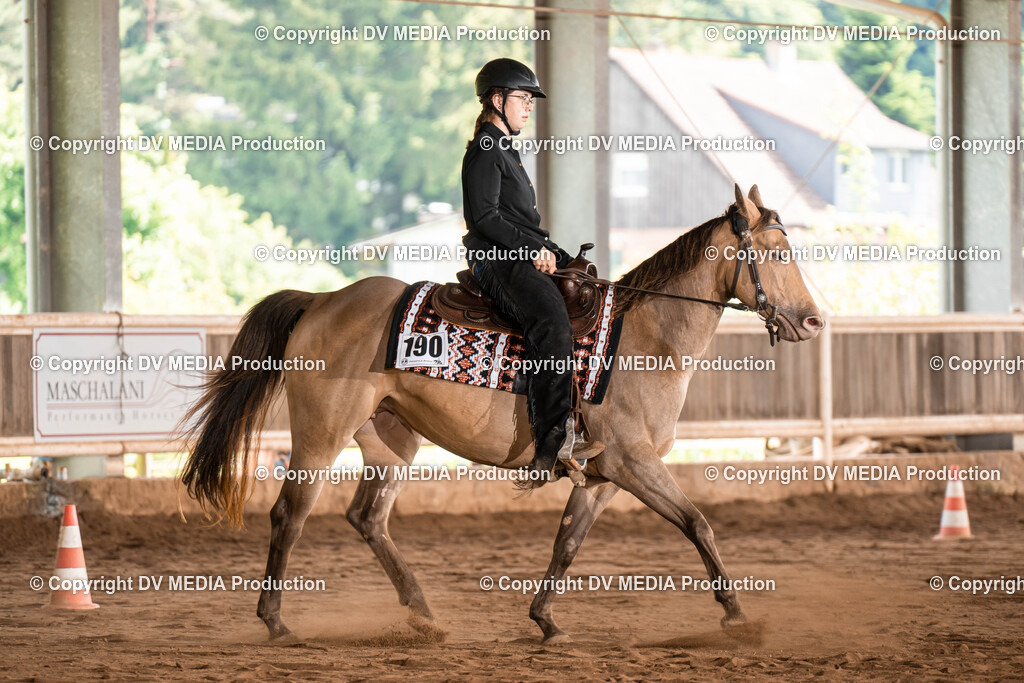 Erbach Tag 1-308 | dv-media-shop - Realisiert mit Pictrs.com