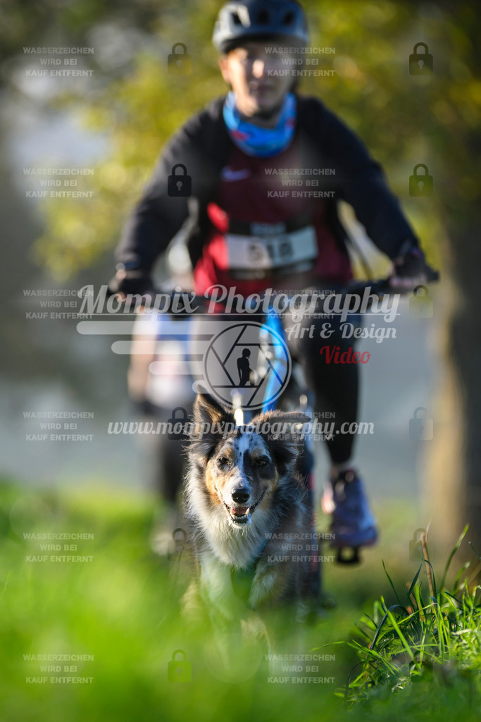 MompixPhotography_20TSB_E3_Bike-223 | PayLife