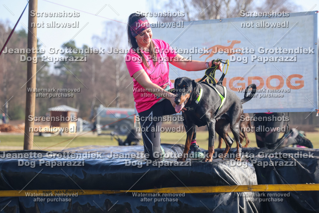 Dog Paparazzi - Strongdog North Mrz26-916 | Dog Paparazzi Jeanette Grottendiek Fotografie & Videografie - Realisiert mit Pictrs.com
