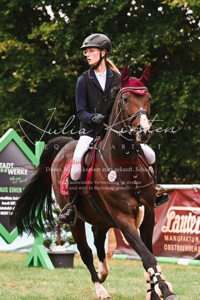 DSC_6538 | Pferde- und Turnierfotografie in Westsachsen. Pferdeportraits, Auftragszeichnungen und intuitive Kunst.