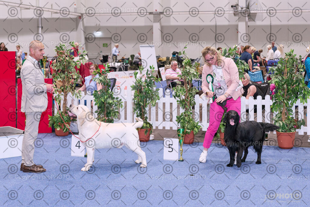 202406_ÖKV-IHA-Tulln24_NZ9_8723 | proPHOTO - Realisiert mit Pictrs.com