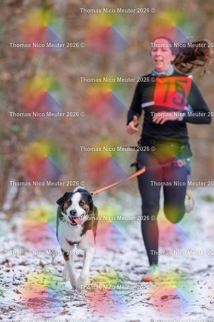 Thomas_Nico_Meuter(C)_223A8285 | Bild von Thomas Nico Meuter - Realisiert mit Pictrs.com