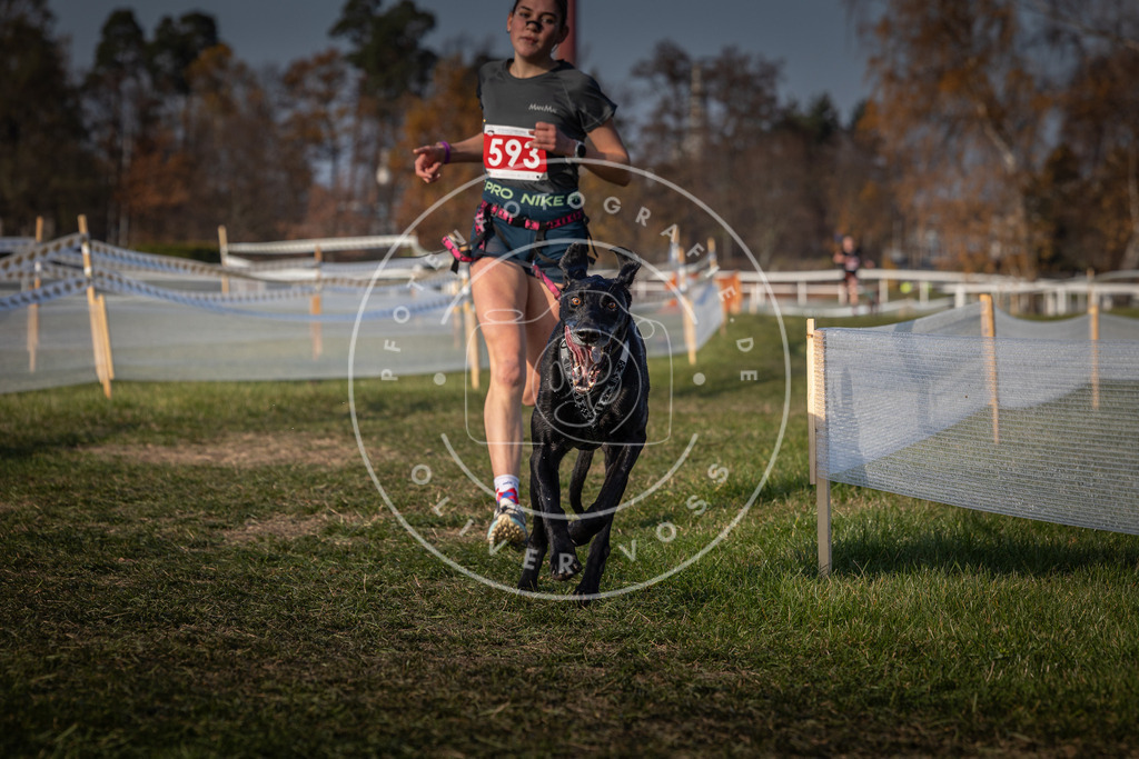 CaniXpix_0L8A9750 | Hundefotografie, Tierfotograf, Pfotenfotografie, Fotoshooting Hund, Hunde Portrait, Hundesport, Hundeportraits, Heideshooting, Hunde, Sportfotograf, Hundefotograf, Turnierhundsport, THS,  - Realisiert mit Pictrs.com