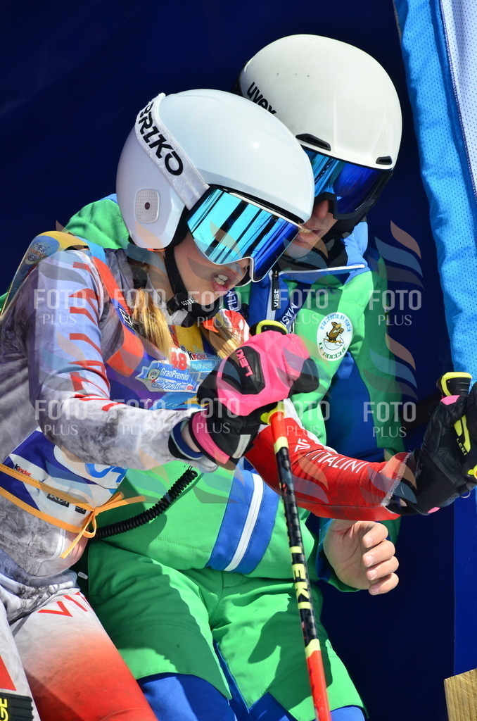 _ELE0162 | holidayphoto