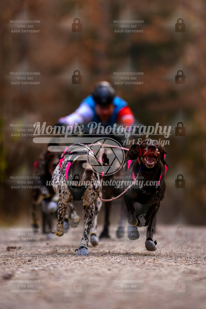 MompixPhotography_DM_AKDM_SO_2025_Wagen-12 | PayLife