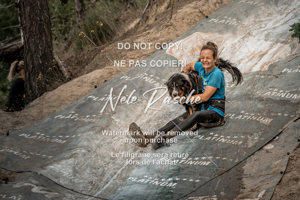 nelerasche_sa1300-1345_71 | nelerasche