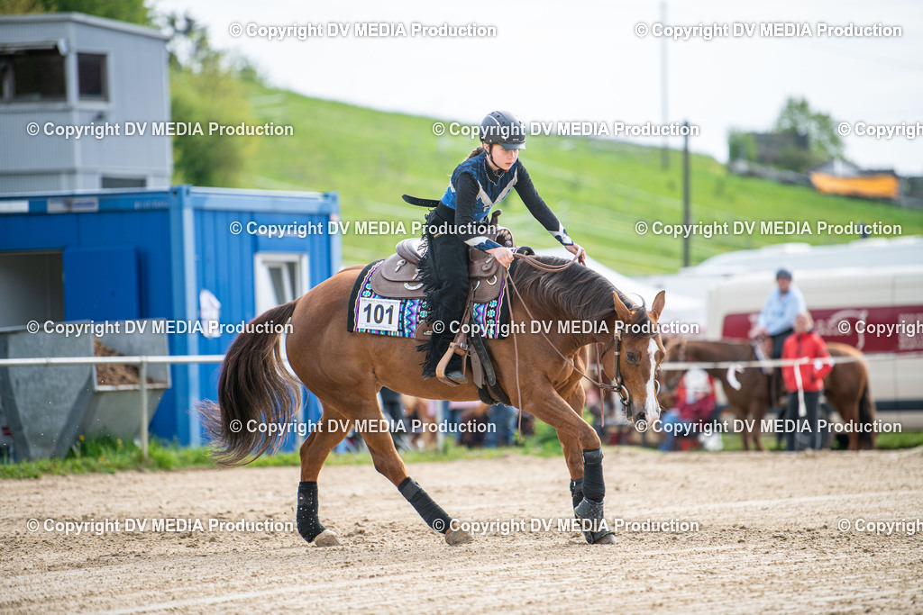 Heiligenwald Tag 3-512 | dv-media-shop - Realisiert mit Pictrs.com