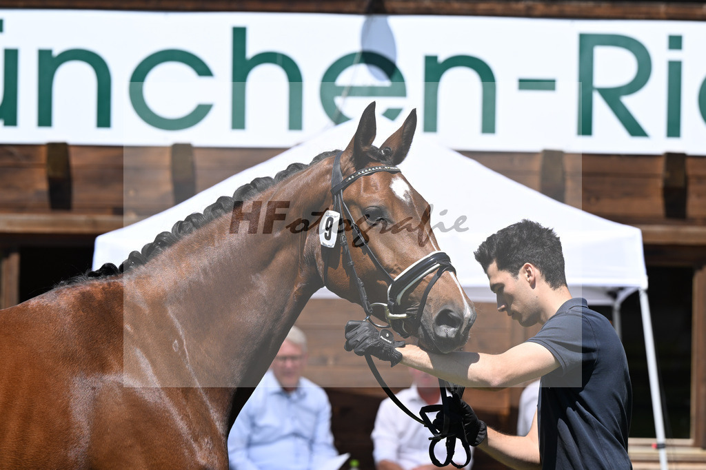 Kat-Nr. 9 Nika v. Chezarro_Bayer_19250300 | hf-fotografie - Realizzato con Pictrs.com