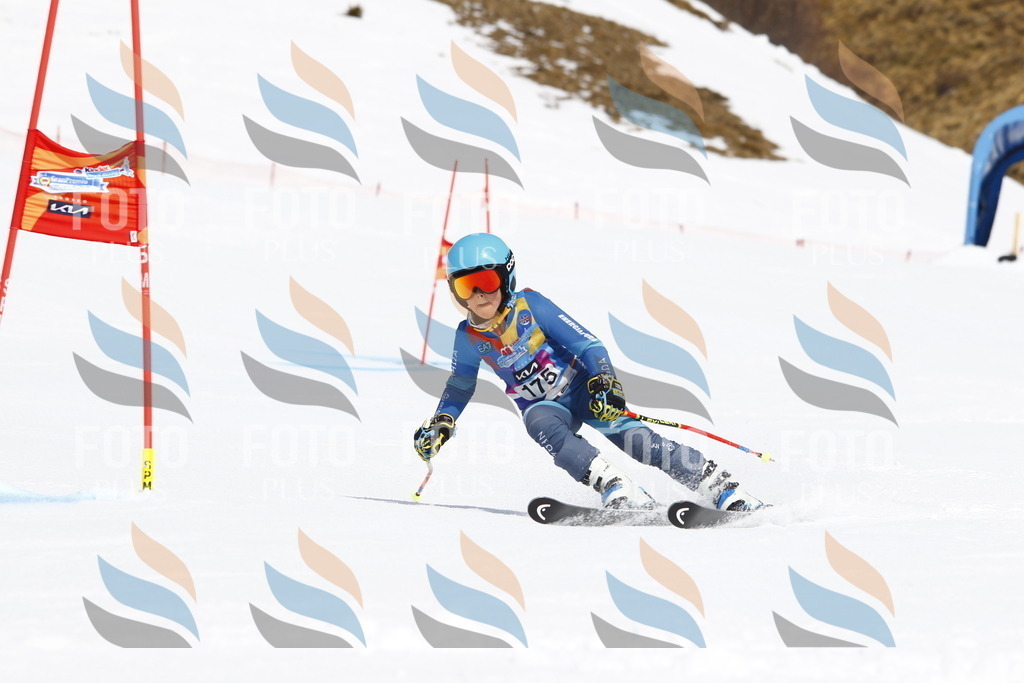 _U3G4613 | holidayphoto