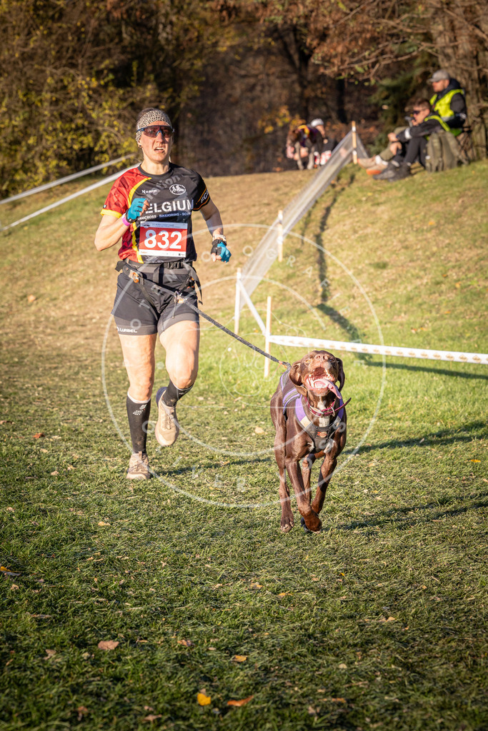 CaniXpix_0L8A0676 | Hundefotografie, Tierfotograf, Pfotenfotografie, Fotoshooting Hund, Hunde Portrait, Hundesport, Hundeportraits, Heideshooting, Hunde, Sportfotograf, Hundefotograf, Turnierhundsport, THS,  - Realisiert mit Pictrs.com