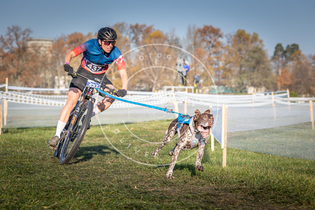 CaniXpix_0L8A4260 | Hundefotografie, Tierfotograf, Pfotenfotografie, Fotoshooting Hund, Hunde Portrait, Hundesport, Hundeportraits, Heideshooting, Hunde, Sportfotograf, Hundefotograf, Turnierhundsport, THS,  - Realisiert mit Pictrs.com