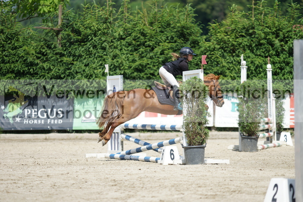 DSC06298 | equestrian-live-com