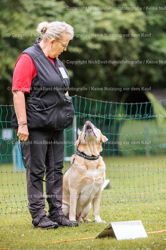 RO-Blumenthal-2026-Nickbest-Hundefotografie-0689 | Dein Hund! Dein Moment! Deine Erinnerungen! Hundefotografie in Bremen Blumenthal. Ich fange die besonderen Momente deines Vierbeiners ein – ob Indoor mit Blitzanlage oder in der freien Natur. Sicher dir dein Moment und dein Termin für eure Erinnerungen.