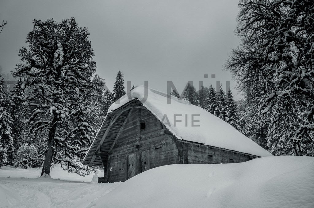 DSC_9006 | Tinu Müller Fotografie- Bildershop - Realisiert mit Pictrs.com